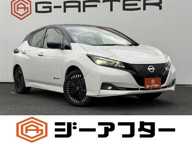 NISSAN / LEAF