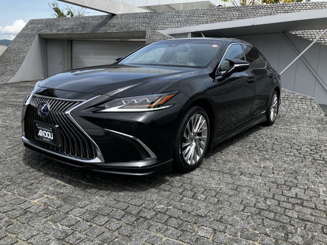 TOYOTA / LEXUS ES300h