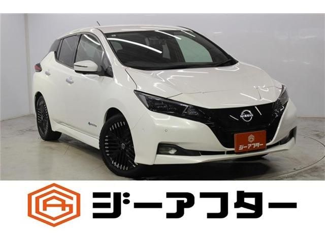 NISSAN / LEAF