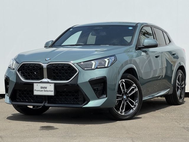 BMW / BMW X2