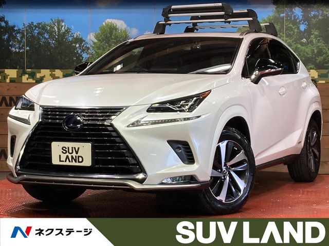 TOYOTA / LEXUS NX300h
