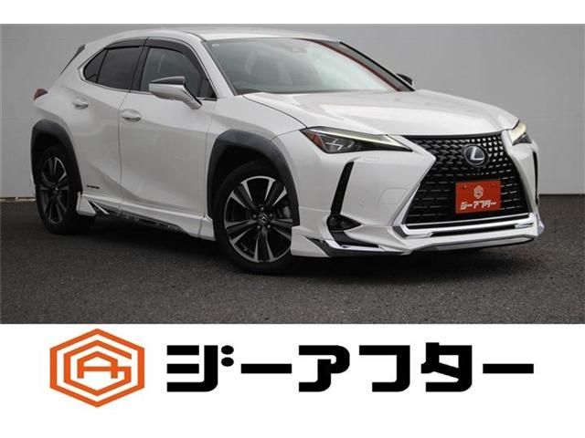 TOYOTA / LEXUS UX250h
