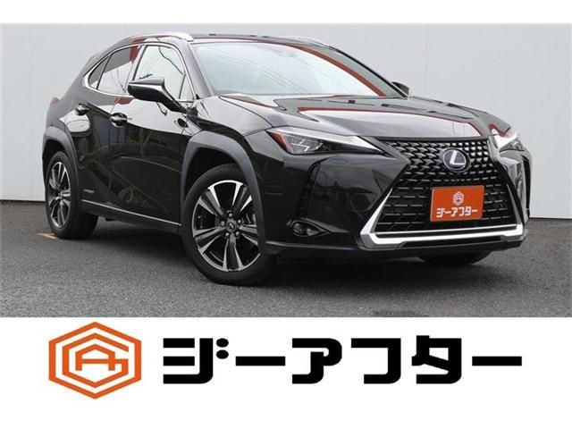 TOYOTA / LEXUS UX250h