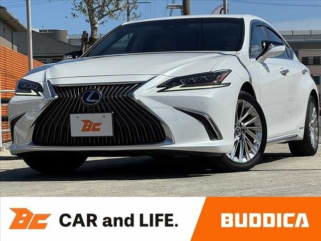 TOYOTA / LEXUS ES300h