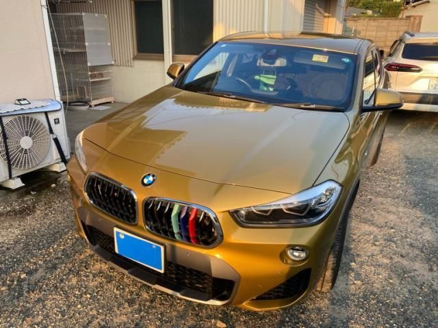 BMW / BMW X2