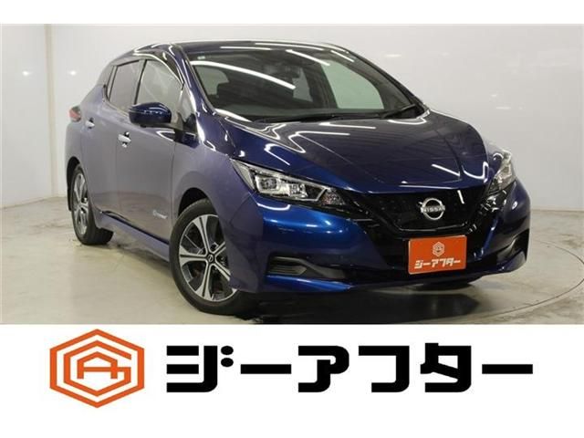 NISSAN / LEAF