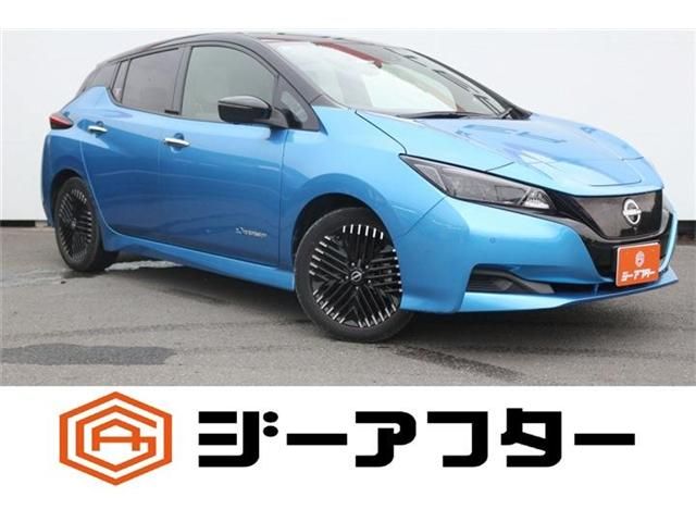 NISSAN / LEAF