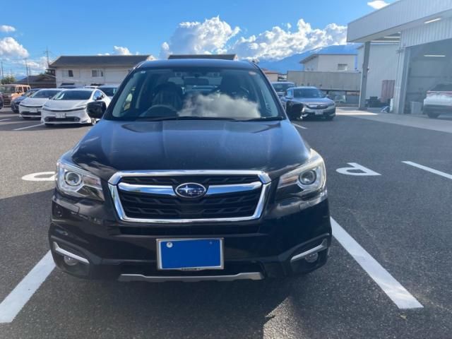 Japanese used car Ref# 1667332 SUBARU / FORESTER