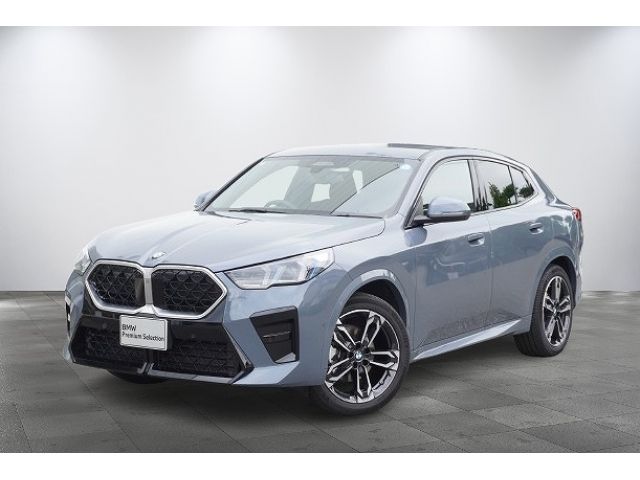 BMW / BMW X2