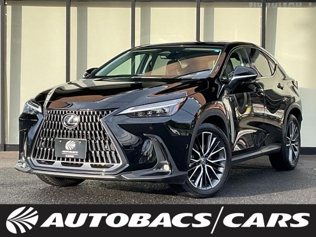 TOYOTA / LEXUS NX450h+ AWD