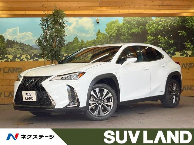 TOYOTA / LEXUS UX250h