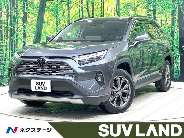 TOYOTA / RAV4 HYBRID 4WD