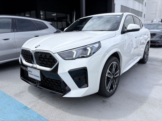 BMW / BMW X2