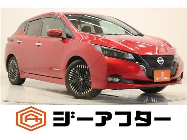 NISSAN / LEAF