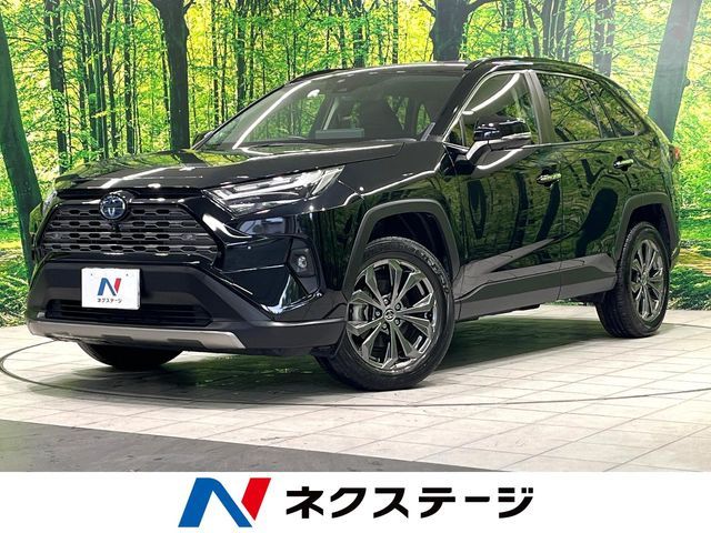 TOYOTA / RAV4 HYBRID 4WD
