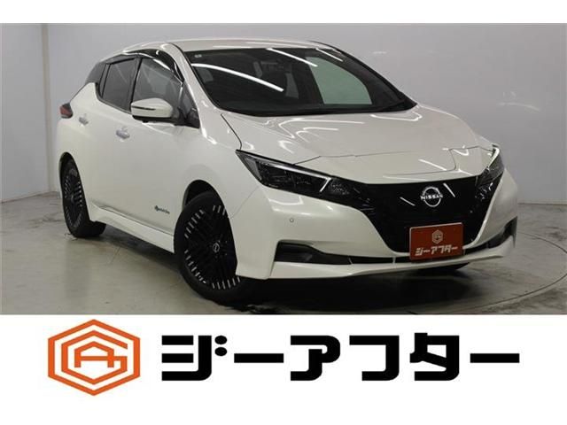 NISSAN / LEAF