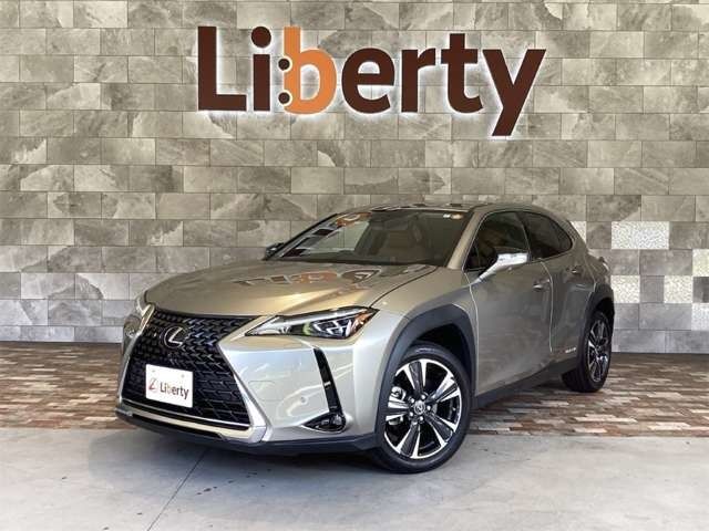 TOYOTA / LEXUS UX250h