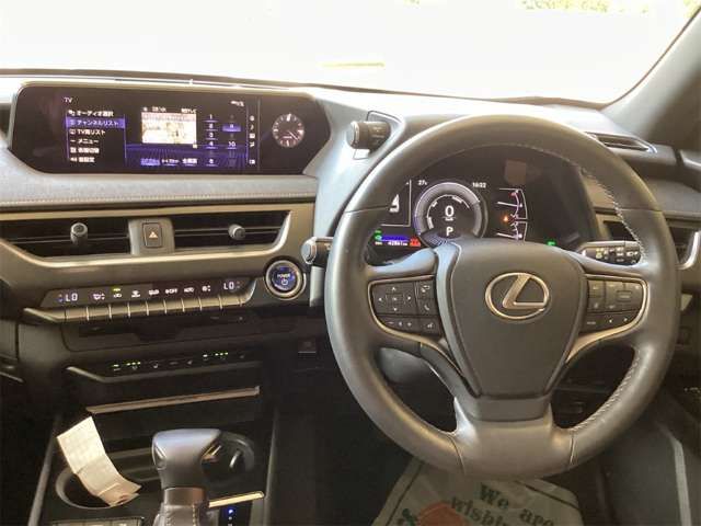 LEXUS UX250h