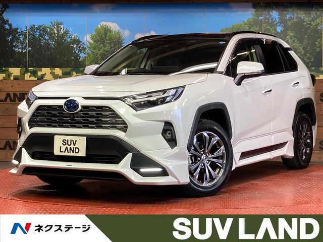 TOYOTA / RAV4 HYBRID 4WD