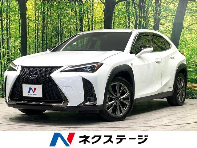 TOYOTA / LEXUS UX250h