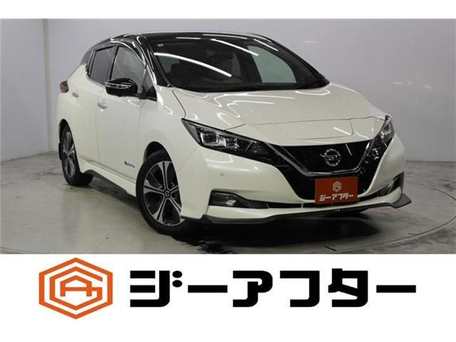 NISSAN / LEAF