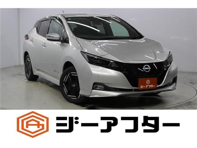 NISSAN / LEAF