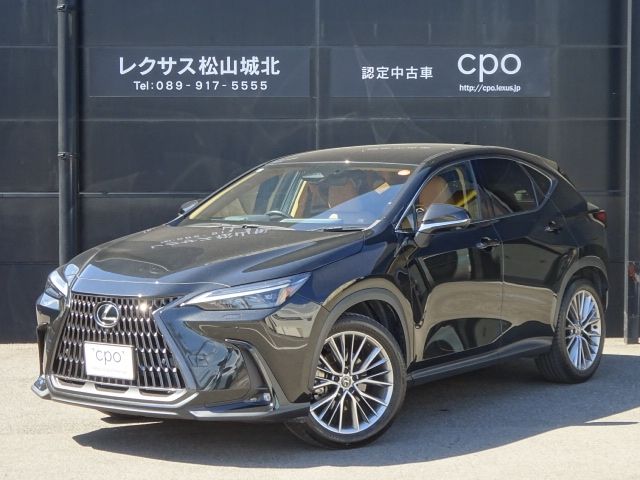 TOYOTA / LEXUS NX250