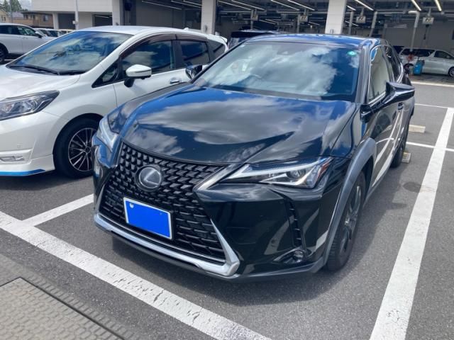 TOYOTA / LEXUS UX250h