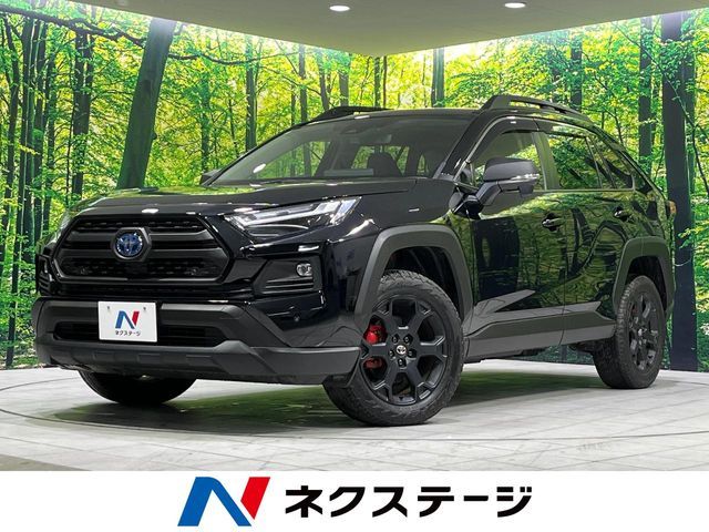 TOYOTA / RAV4 HYBRID 4WD