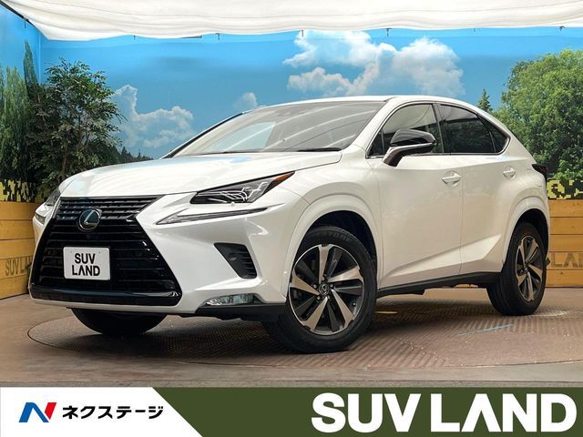 TOYOTA / LEXUS NX300
