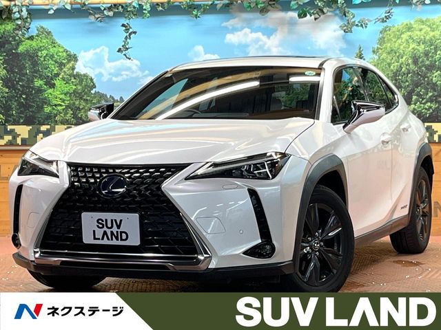 TOYOTA / LEXUS UX250h
