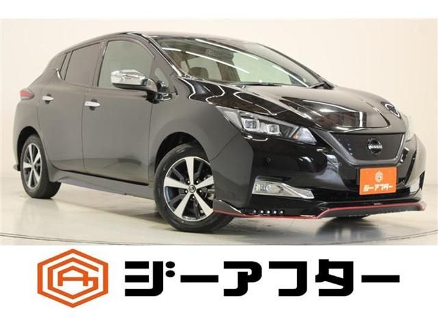 NISSAN / LEAF