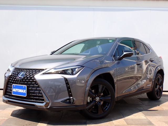 TOYOTA / LEXUS UX250h