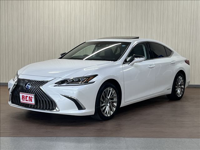 TOYOTA / LEXUS ES300h