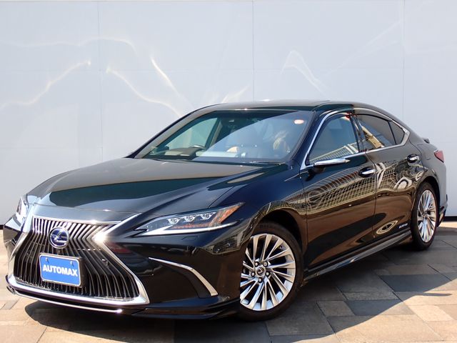 TOYOTA / LEXUS ES300h