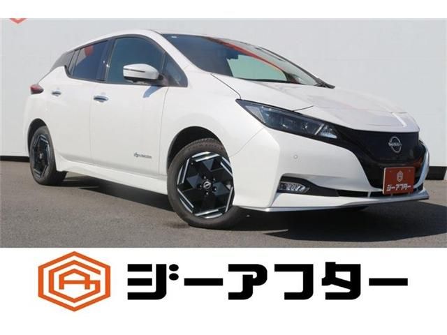 NISSAN / LEAF
