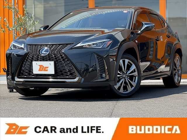 TOYOTA / LEXUS UX250h
