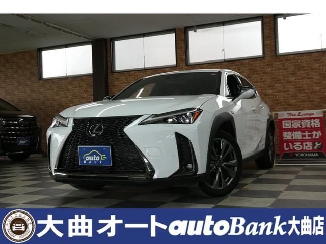 TOYOTA / LEXUS UX250h AWD