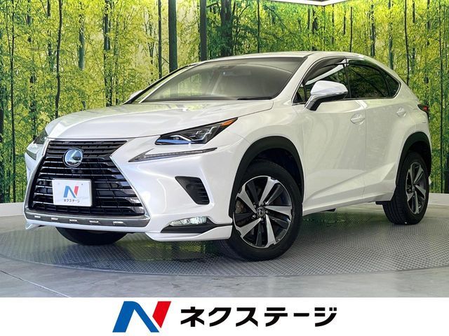 TOYOTA / LEXUS NX300