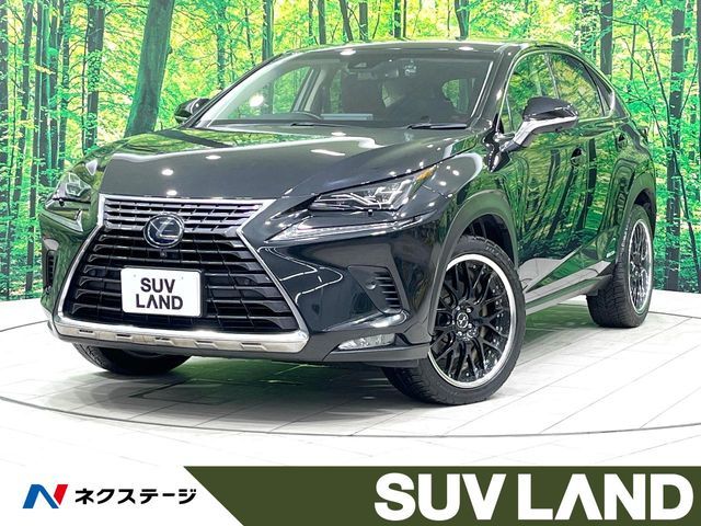 TOYOTA / LEXUS NX300h