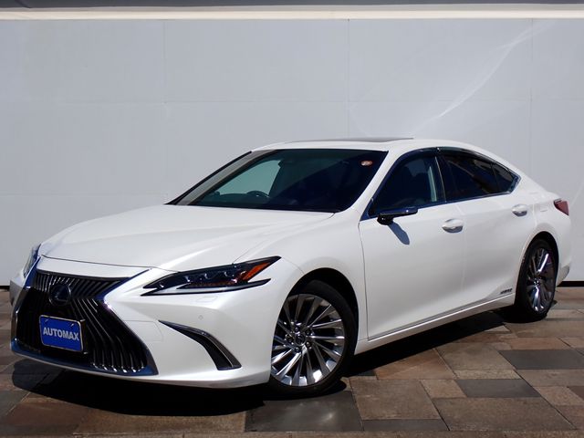 TOYOTA / LEXUS ES300h