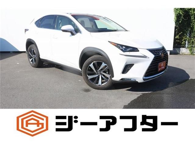 TOYOTA / LEXUS NX300