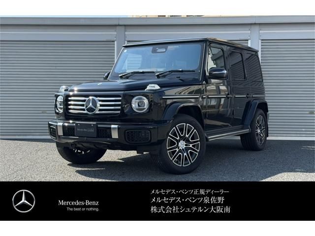 MERCEDES BENZ / MERCEDES BENZ G class