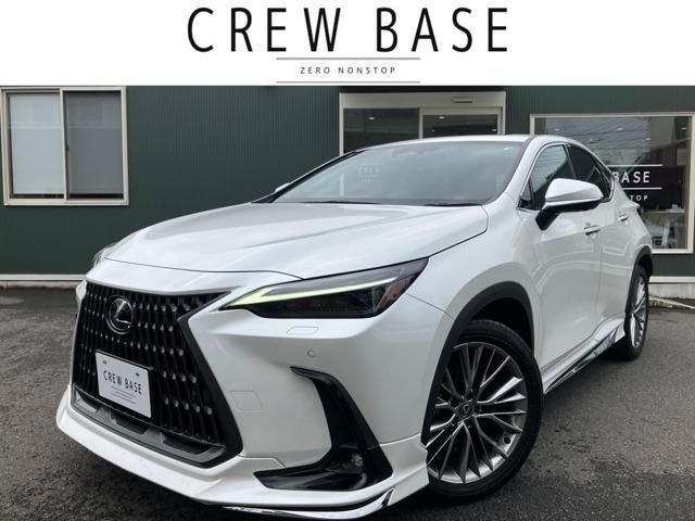TOYOTA / LEXUS NX450h+ AWD
