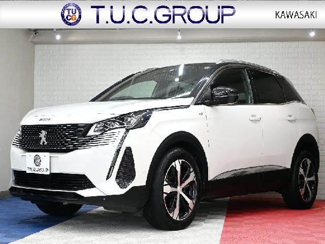 PEUGEOT / PEUGEOT 3008