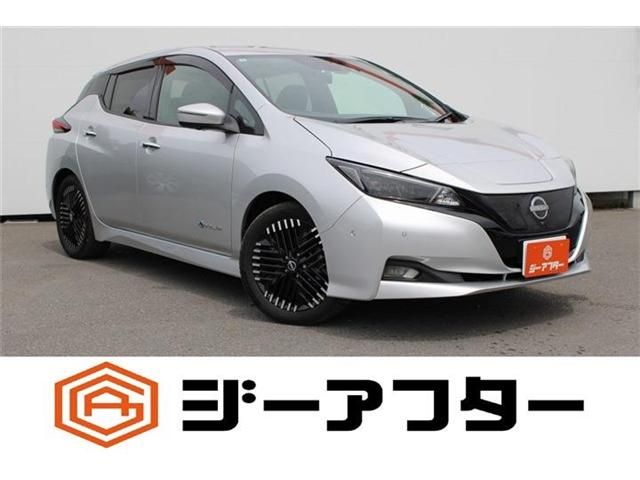 NISSAN / LEAF