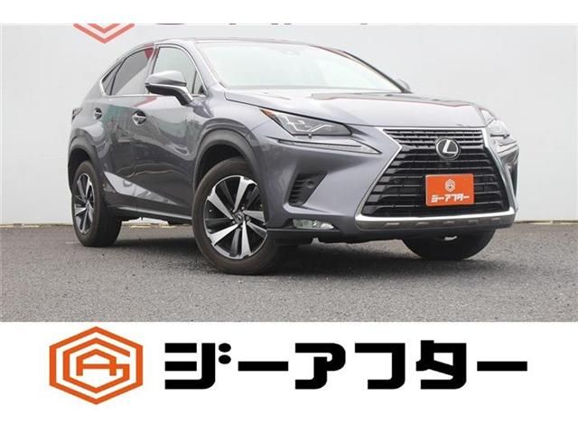 TOYOTA / LEXUS NX300