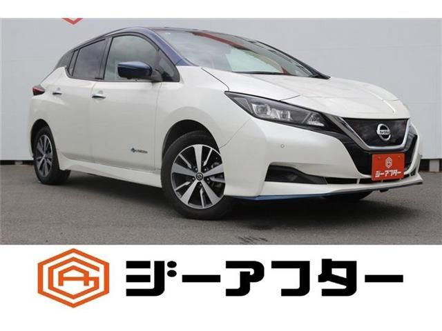 NISSAN / LEAF