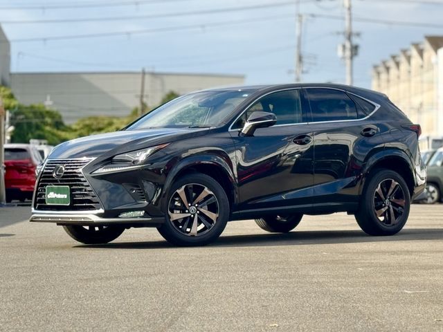 TOYOTA / LEXUS NX300