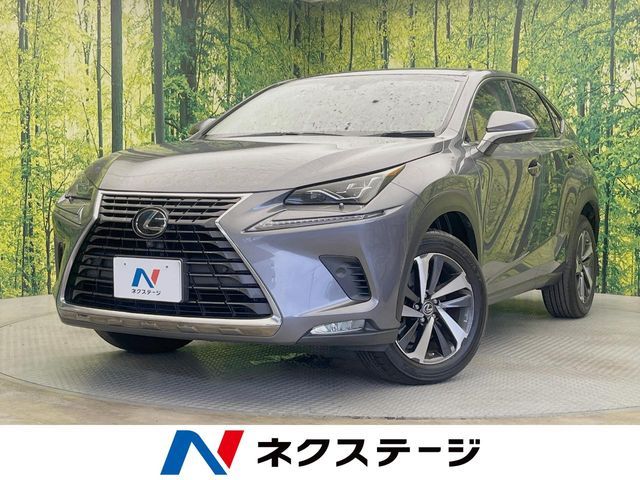 TOYOTA / LEXUS NX300